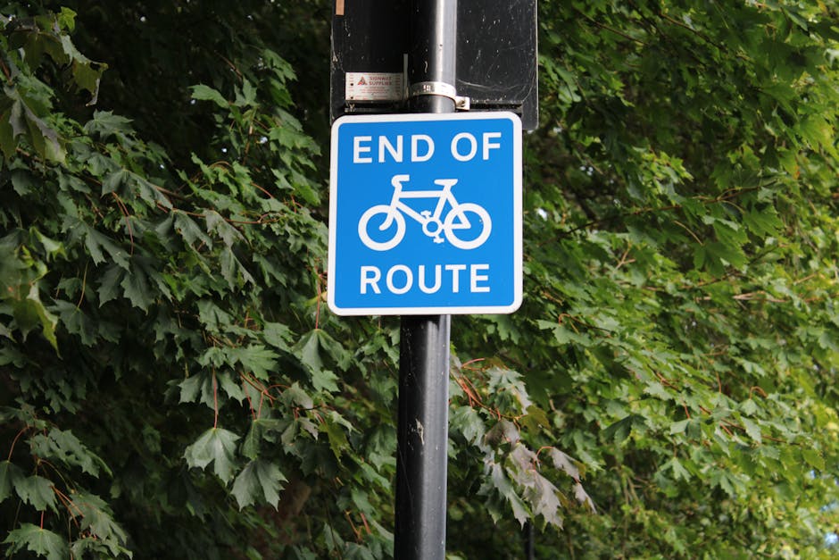 A blue rectangular road sign displaying a white bicycle icon and the words 'END OF ROUTE' in white capital letters, mounted on a black pole. The background features dense green foliage consisting of broadleaf trees and leafy branches. The light is natural, suggesting daytime. This sign is positioned near a property, which may be relevant to house removals or transportation logistics for [COMPANY_NAME], such as parking or access restrictions during home relocation or furniture transport. The image captures the sign’s details clearly, emphasizing its role in guiding or restricting bicycle routes, while the surrounding environment hints at nearby residential or urban areas suitable for moving services.